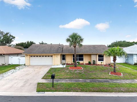 Photo of 12022 Picalilli Street, Orlando, FL 32837 (MLS # O6412923)