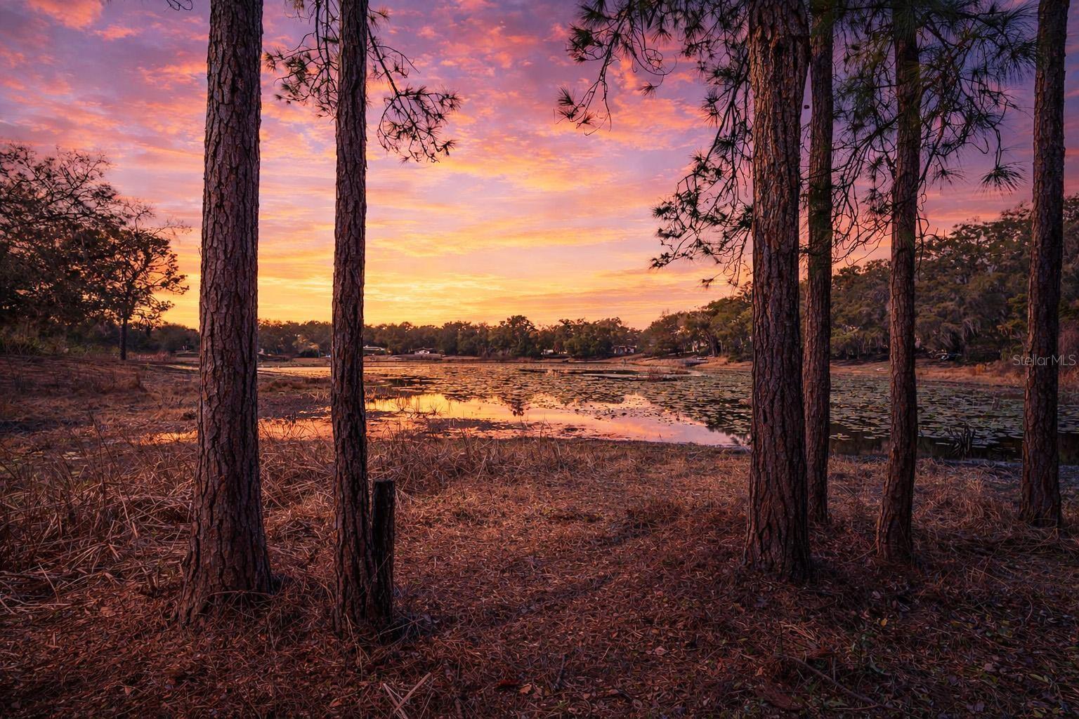 WOODLAND HILLS - Residential