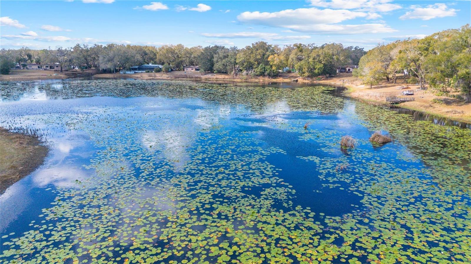 36035 E SPRING LAKE BOULEVARD