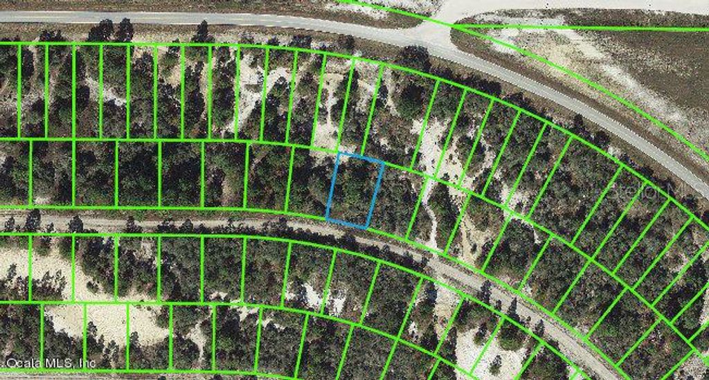 Photo of 448 Morningside Drive, Lake Placid, FL 33852 (MLS # OM542122)