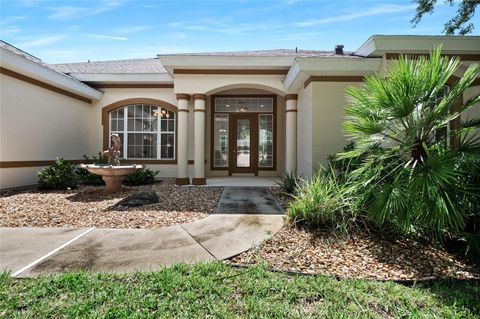 A home in PALM COAST