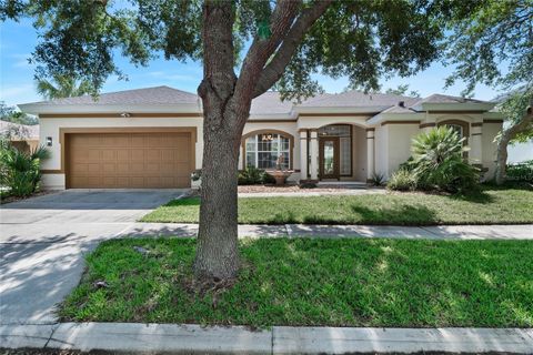 A home in PALM COAST