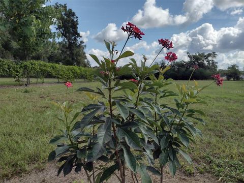 Tiny photo for 4925 N Us Highway 441, Ocala, FL 34475 (MLS # O6330125)