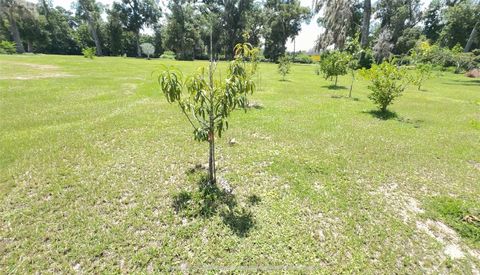 Tiny photo for 4925 N Us Highway 441, Ocala, FL 34475 (MLS # O6330125)