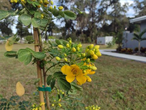 Tiny photo for 4925 N Us Highway 441, Ocala, FL 34475 (MLS # O6330125)