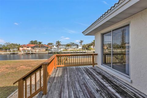 A home in PUNTA GORDA