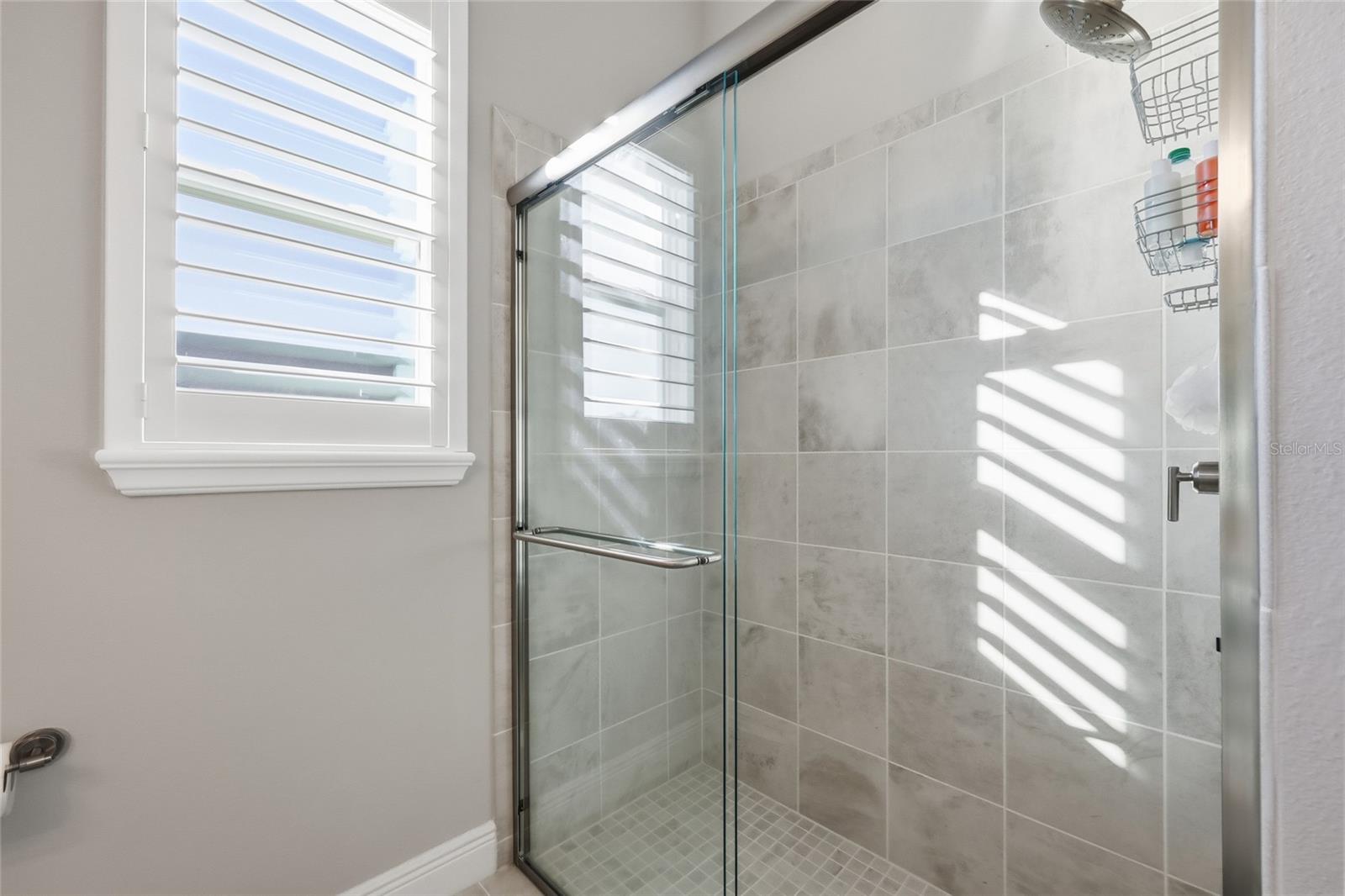 LAKES MOUNT DORA PH 3D - Residential