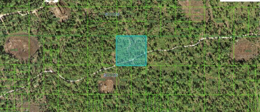 This 2.52-acre vacant residential lot in Frostproof, Florida, offers a rare opportunity to build your dream home with plenty of space for outdoor living, gardening, or future expansion. Enjoy the peaceful, rural setting while staying close to local amenities, schools, and major roads. A perfect canvas for creating your ideal Florida lifestyle!