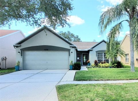 4208 PINE ISLE DRIVE LUTZ FL 33558
