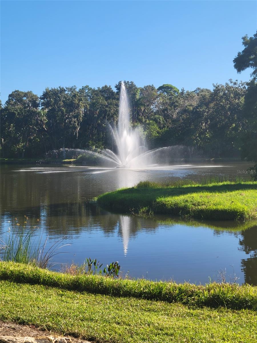 WILLOW GREEN - Residential