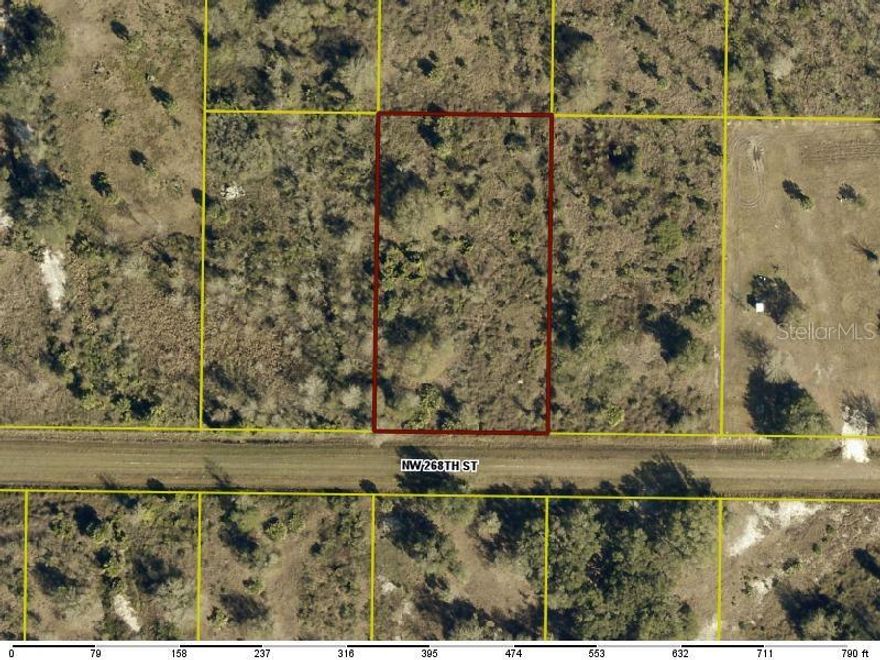 Check out and purchase this 1.25 ACRE LOT in Florida's fastest-growing city! This ELEVATED and DRY parcel offers a solid foundation; perfect for your future construction projects. Ideal for investors and buyers looking to secure an investment opportunity and capitalize on rapid SUBURBAN growth!