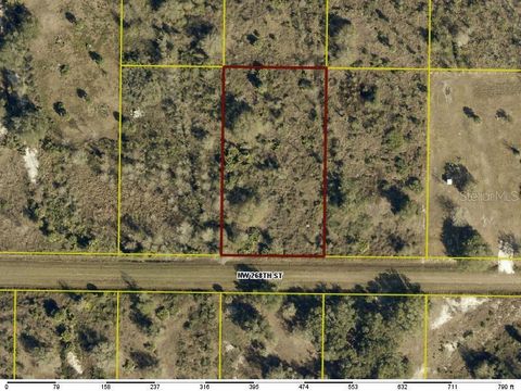 21177 NW 268TH STREET OKEECHOBEE FL 34972