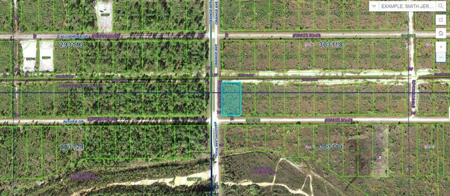 This 0.60-acre vacant  lot at 724 Althea Drive , Florida,  "Zoning: PUD" offers an excellent opportunity to build your dream spot on a spacious parcel. Enjoy a quiet, natural setting with room for outdoor living and access to community amenities including a golf course, marina, and Lake Walk-in-Water. A great property for creating your ideal Florida lifestyle! Note: buyers I emphasize the importance of conducting thorough due diligence to ensure that the property meets your expectations and requirements.
