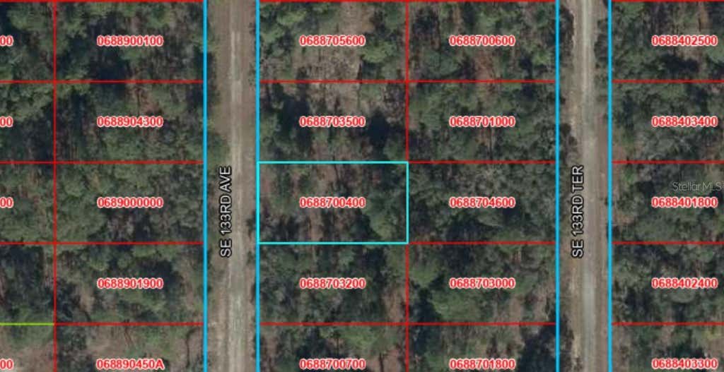 Photo of 43 SE 133rd Avenue, Dunnellon, FL 34431 (MLS # W7888503)