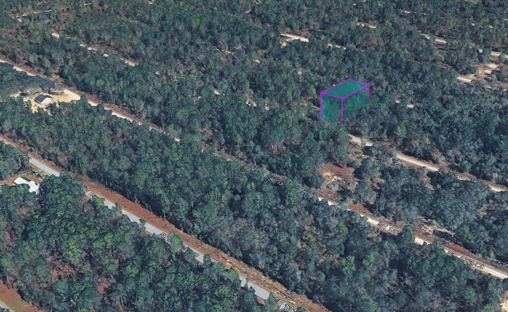 Photo of 43 SE 133rd Avenue, Dunnellon, FL 34431 (MLS # W7888503)
