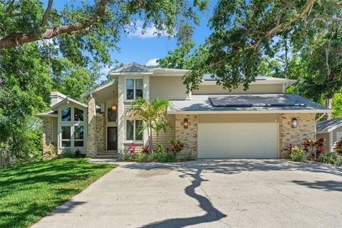 520 LAFAYETTE BOULEVARD OLDSMAR FL 34677