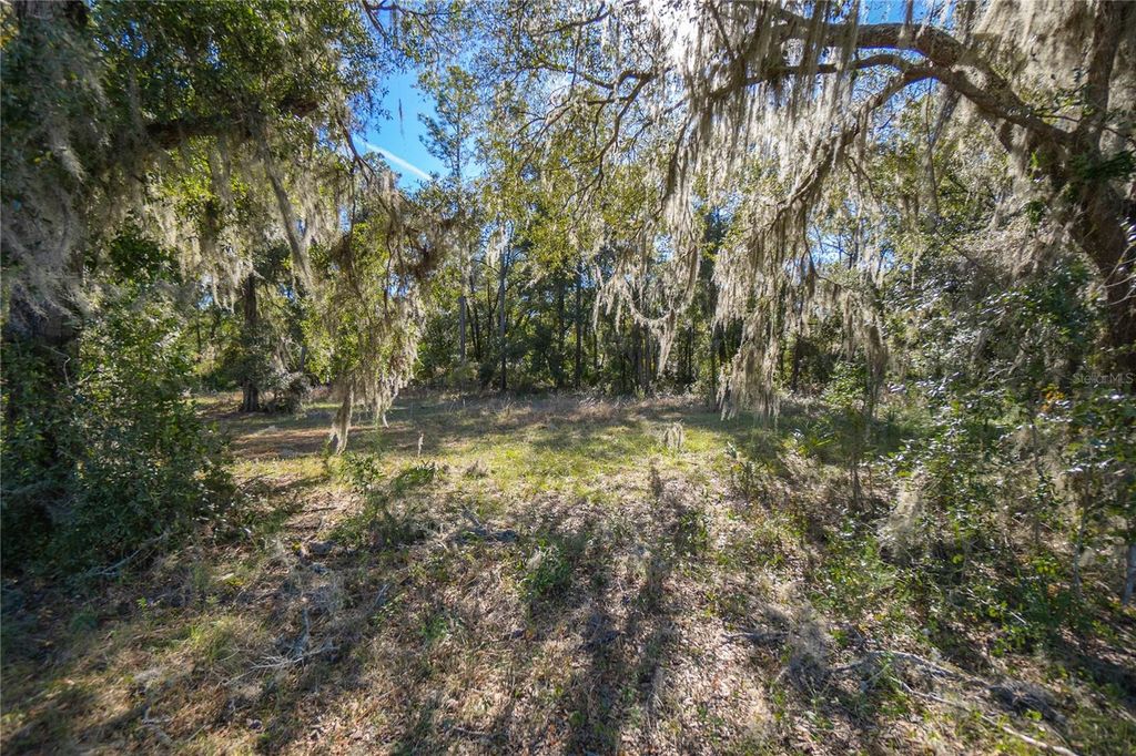 Photo of 9930 W Pomegranate Street, Crystal River, FL 34428 (MLS # W7870438)