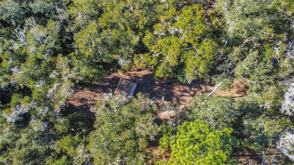 Photo of 9930 W Pomegranate Street, Crystal River, FL 34428 (MLS # W7870438)