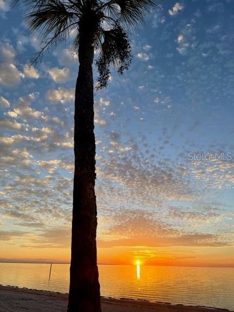 FLOR A MAR - Residential