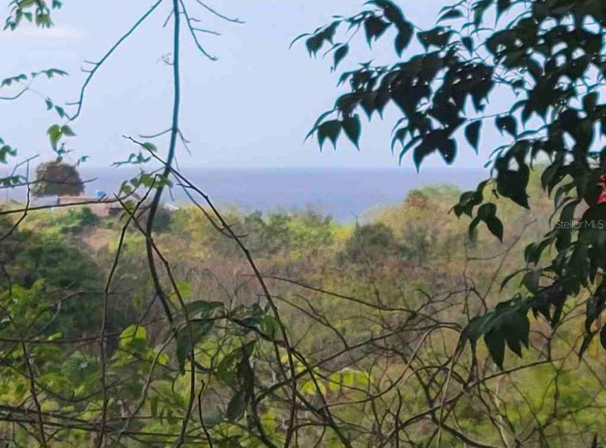 Rincón, PR 00677
For Sale 2.98-acre (11,723 square meters) lot with partial ocean views, steep/rolling/level topography, and ample road frontage, perfect for building a multi-family home, guest house, Airbnb, or your dream home. Close to a supermarket, shopping, fast food, gas garages, and beautiful beaches.
Prime location, PR 115 km 11.7 Interior, Stella Royal Street next to Cowboys Cantina. High-demand tourist area, Pueblo neighborhood, Rincón.
Asking price $550,000, price below appraisal.
Don't miss this unique opportunity to live or invest in one of Puerto Rico's most exclusive destinations!