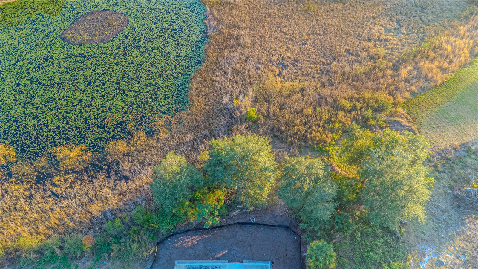 397 NORTH BOULEVARD W