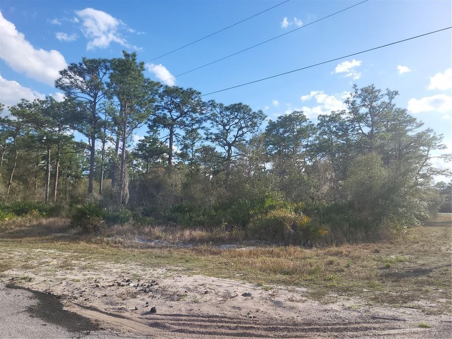 DON'T MISS THIS OPPORTUNITY TO OWN THE BEST OF OUR FLORIDA LIFESTYLE: YOU HAVE THE OPPORTUNITY TO OWN MORE THAN A 
HALF ACRE PARCEL LOT.  BUILD YOUR VACATION HOME, ENJOY THE AMENITIES THIS FABULOUS AREA HAS AND MORE, OR LIVE HERE ON
A PERMANENT BASIS. YOUR CLOSE TO ALL AREA WATER, LAKES, MARINA, THE FISHING. THE OUTDOOR ACTIVITIES ARE ENDLESS, WITH THE CLUB HOUSE, RESTAURANT, BALL ROOM FOR SPECIAL OCCASIONS. TAKE ADVANTAGE OF THESE LOW PRICES ON THE LOTS FOR A
FUTURE HOME, OR POSSIBLE INVESTMENT.  YOU WILL BE SO IMPRESS WHEN YOU SEE THIS BEAUTIFUL AREA, WITH SO MUCH TO LOVE.
TAKE A DRIVE SEE FOR YOURSELF YOU WON'T BE DISAPPOINTED! CALL ME FOR MORE DETAILS!