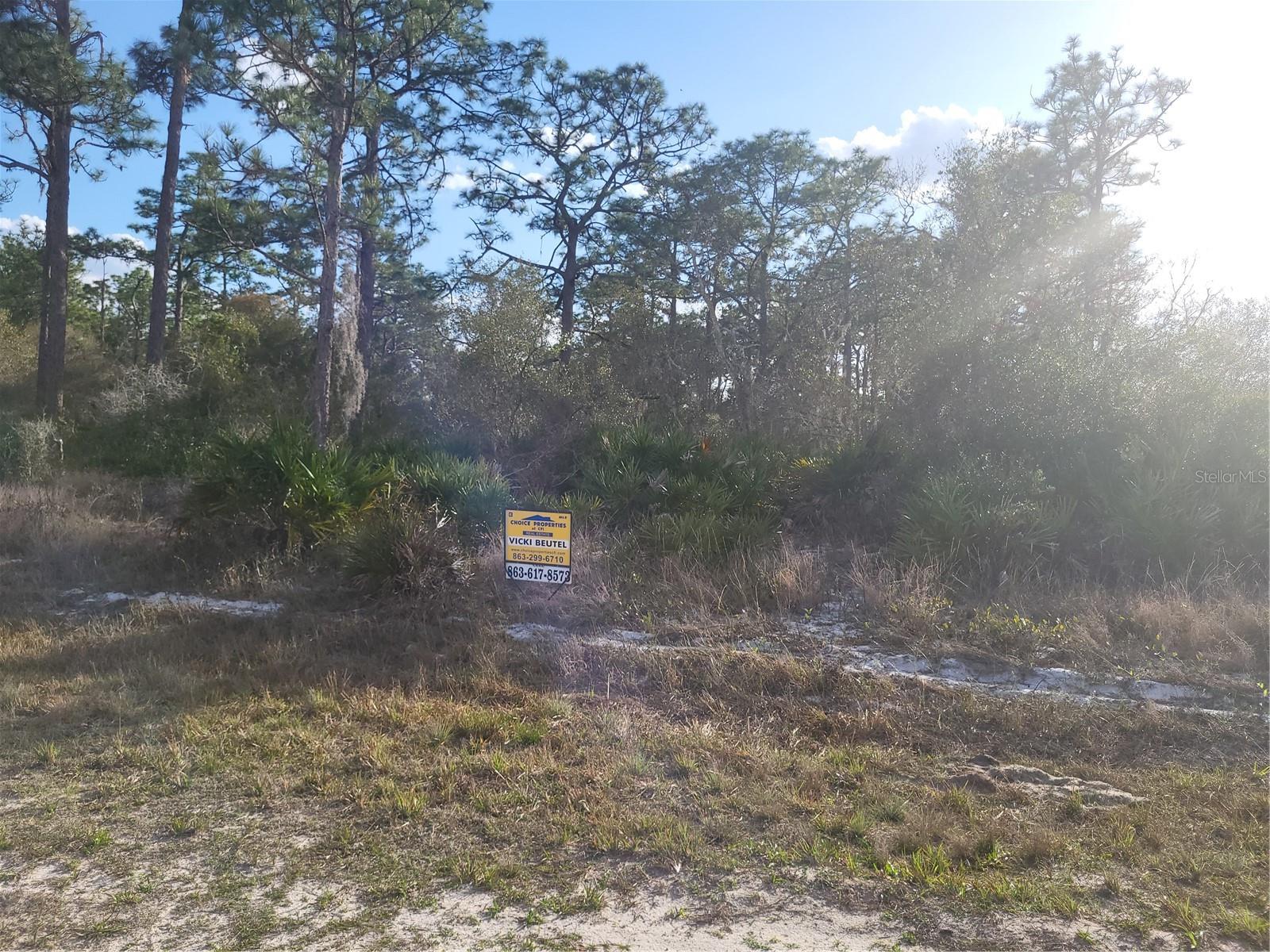 INDIAN LAKE ESTATES - Land