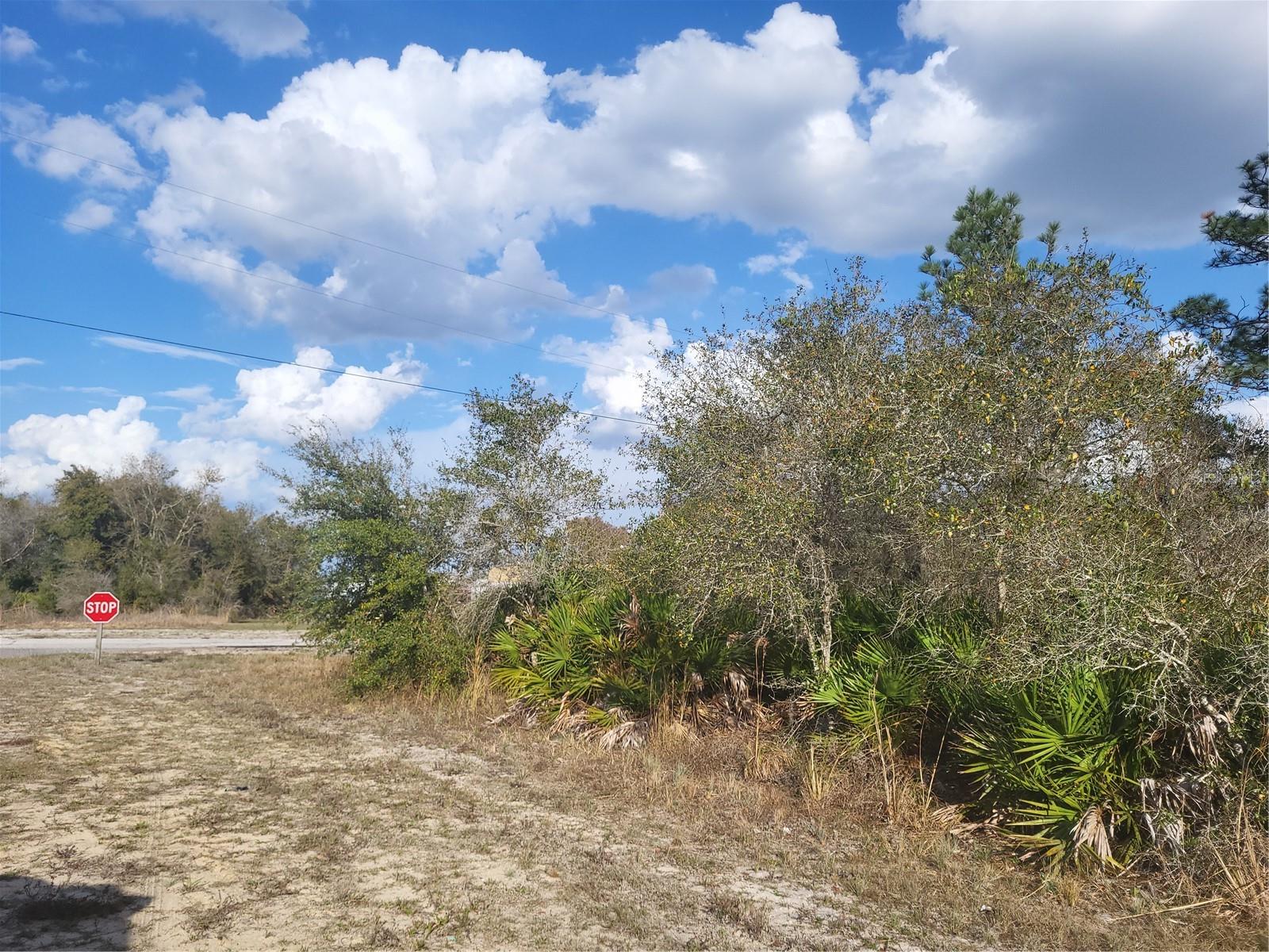 INDIAN LAKE ESTATES - Land