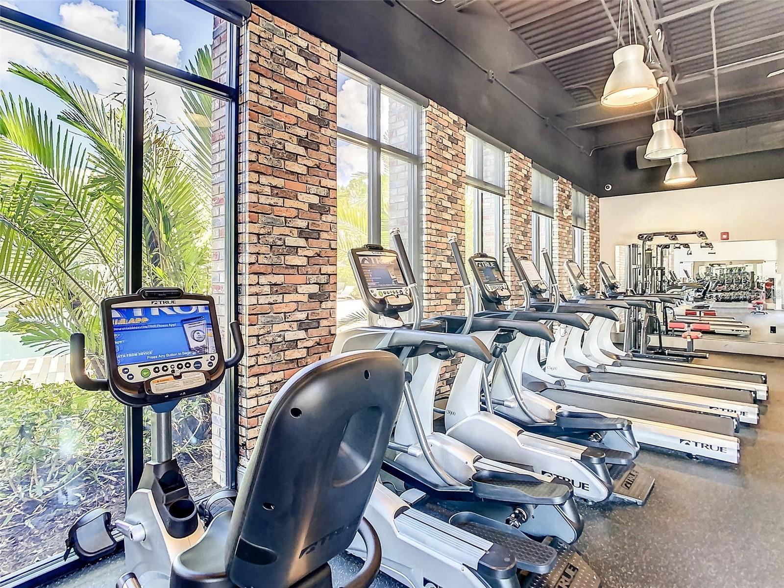 FESTIVAL PH 5 - Residential