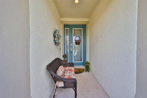 A home in APOLLO BEACH