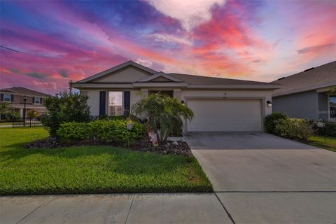 A home in APOLLO BEACH