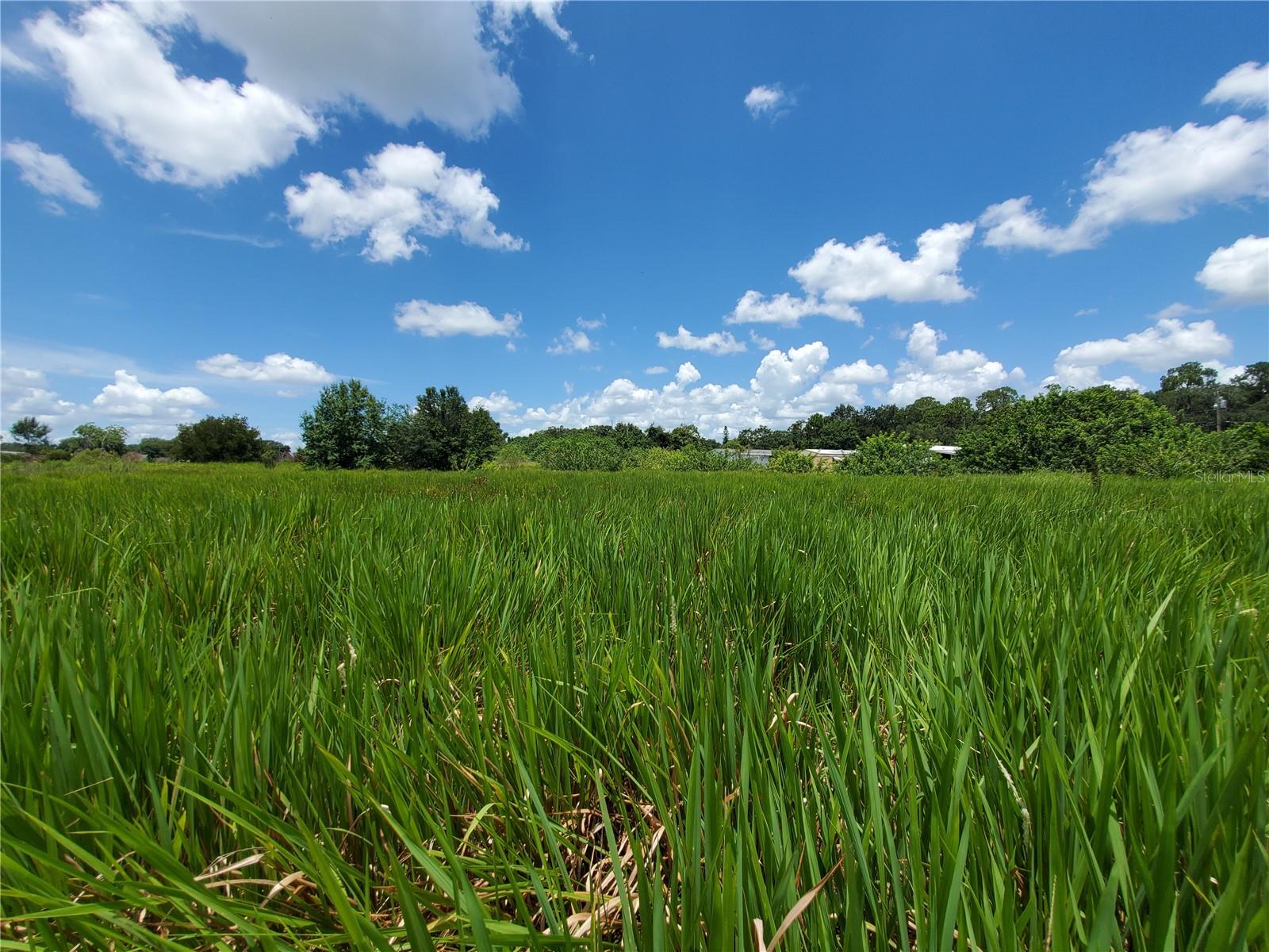 BACK ON THE MARKET!!!! Beautiful lot to build your dream home in Lakeland, surrounded by large trees in a convenient location. Property is zoned residential and has a 60’ deep well. This lovely parcel of land is conveniently located to I-4 and a short distance to Tampa and Orlando. Any information on subdividing land into additional lots for homes or for a mobile home park, call the Polk County Planning Office for details.