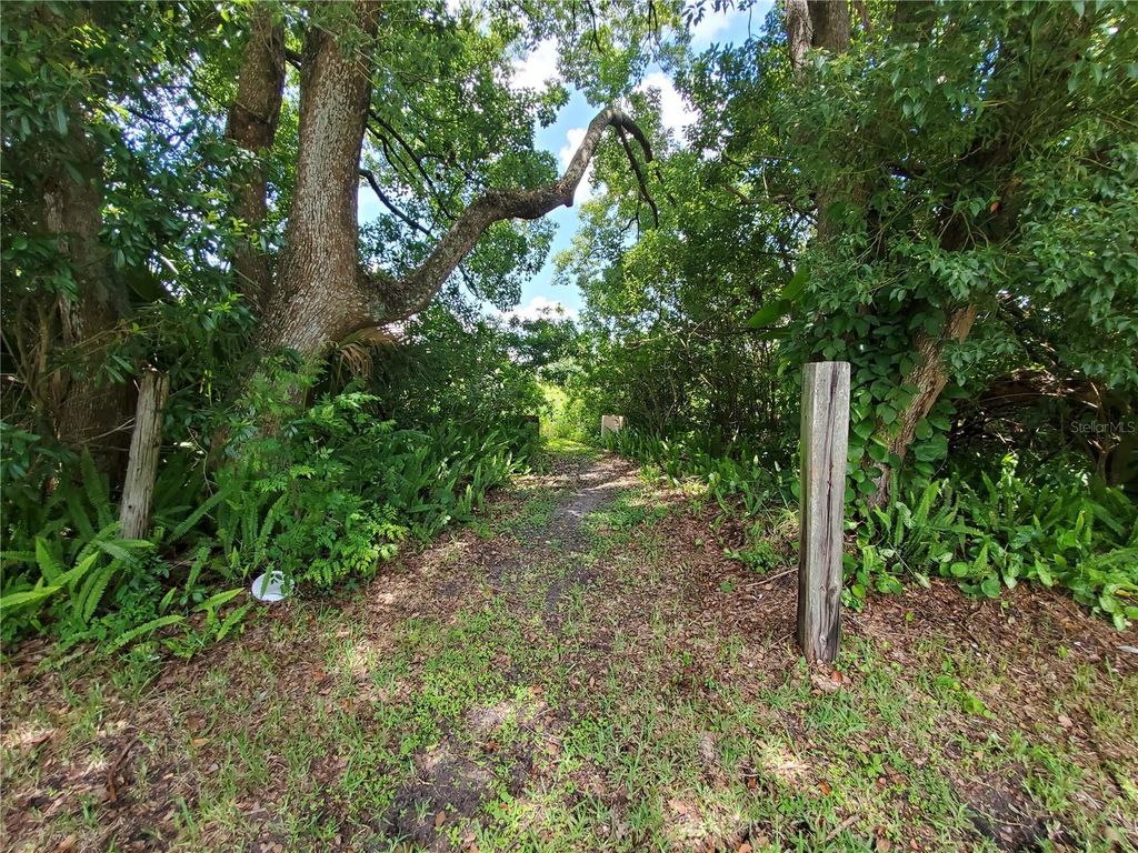 Photo of Woodland Avenue, Lakeland, FL 33801 (MLS # L4924795)