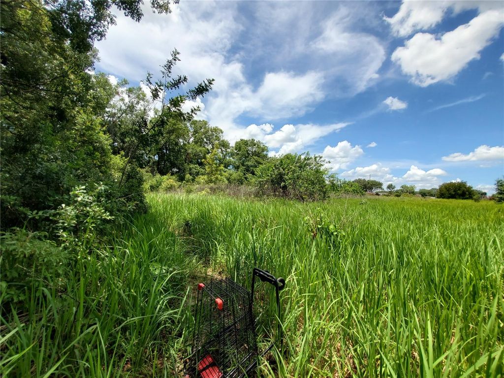 Photo of Woodland Avenue, Lakeland, FL 33801 (MLS # L4924795)