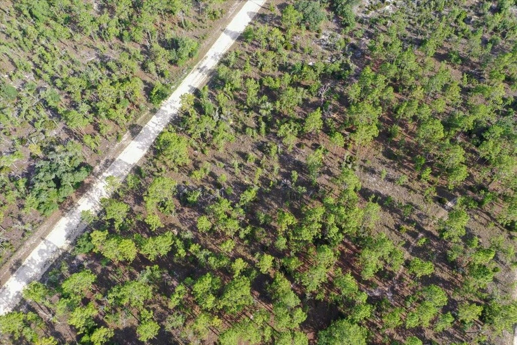 Photo of 0000 NE 132 Terrace Lot 3 Terrace, Williston, FL 32696 (MLS # TB8529206)