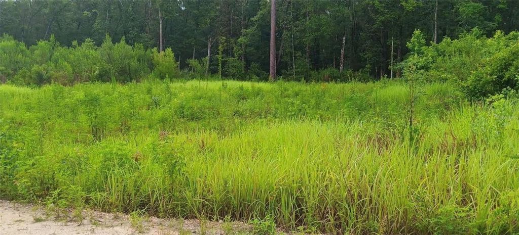 Photo of SW 18 Street, Ocala, FL 34481 (MLS # OM720405)