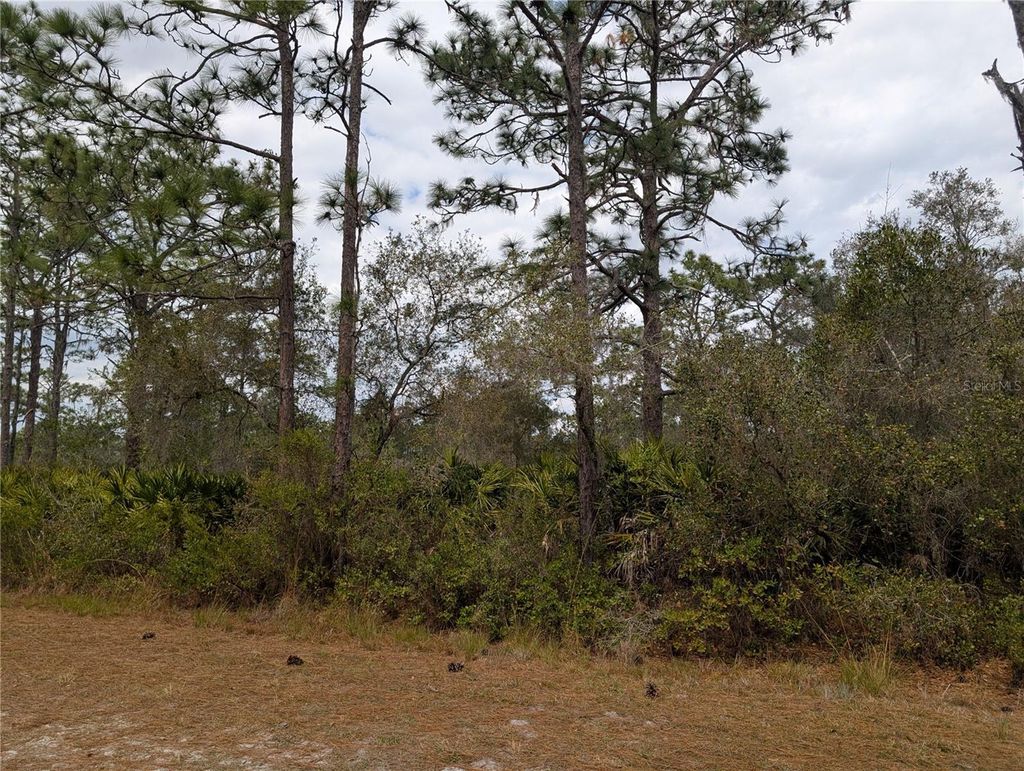 Photo of 416 Bougainville Drive, Indian Lake Estates, FL 33855 (MLS # P4937983)