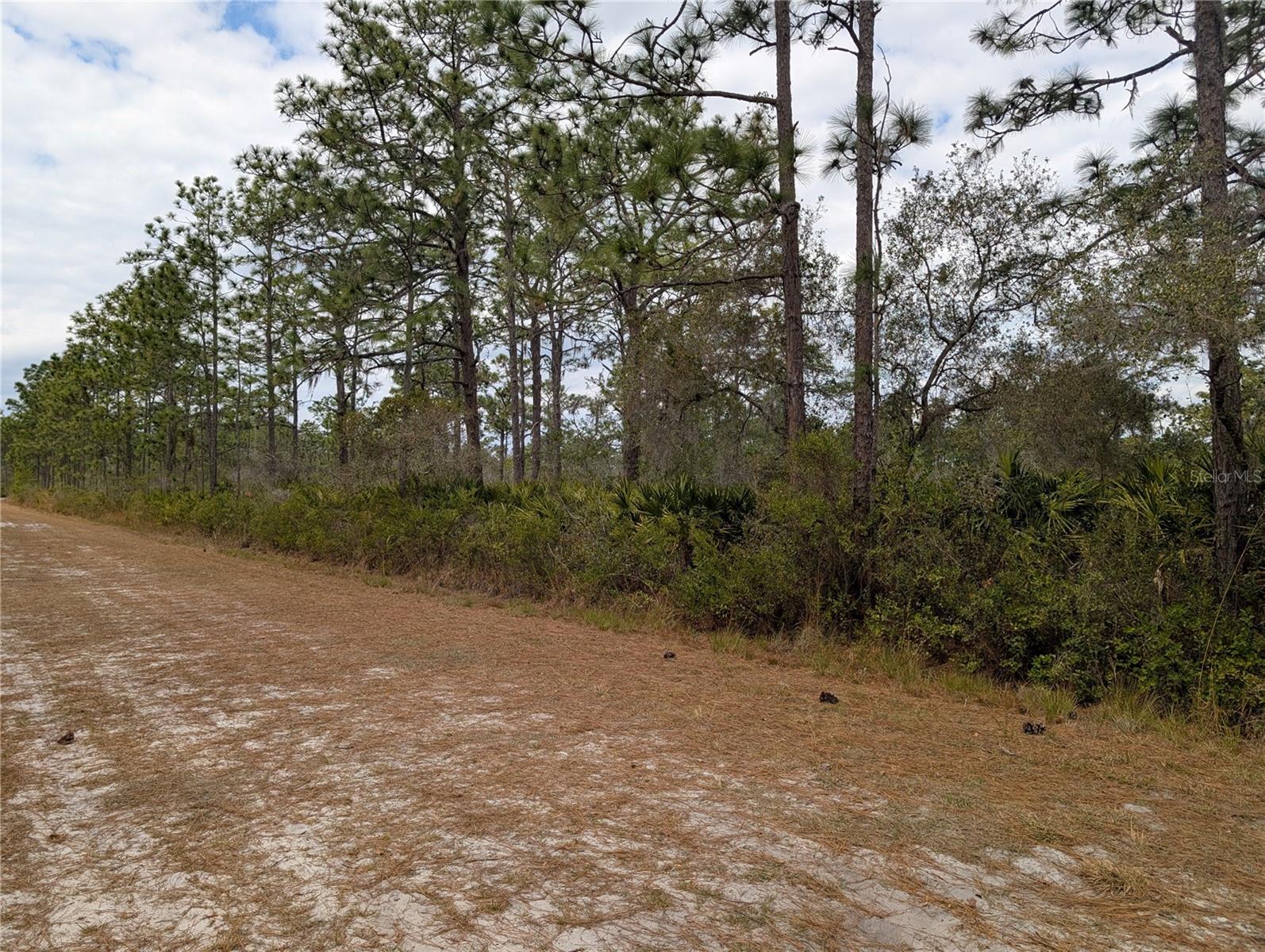 INDIAN LAKE ESTATES - Land