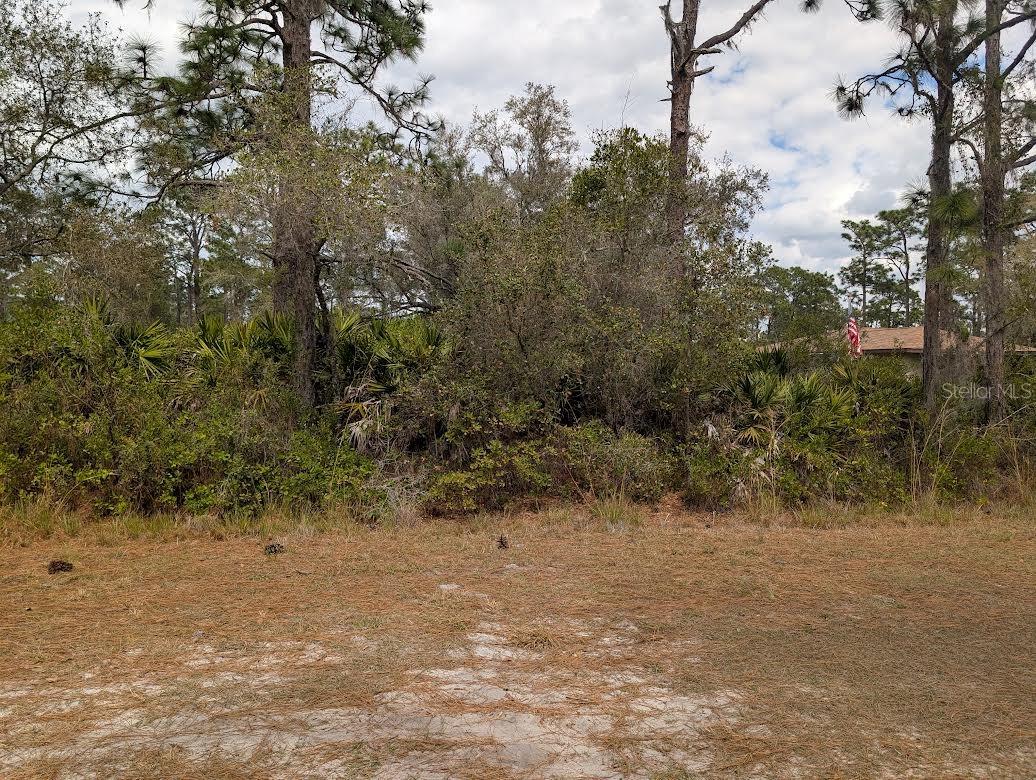 INDIAN LAKE ESTATES - Land