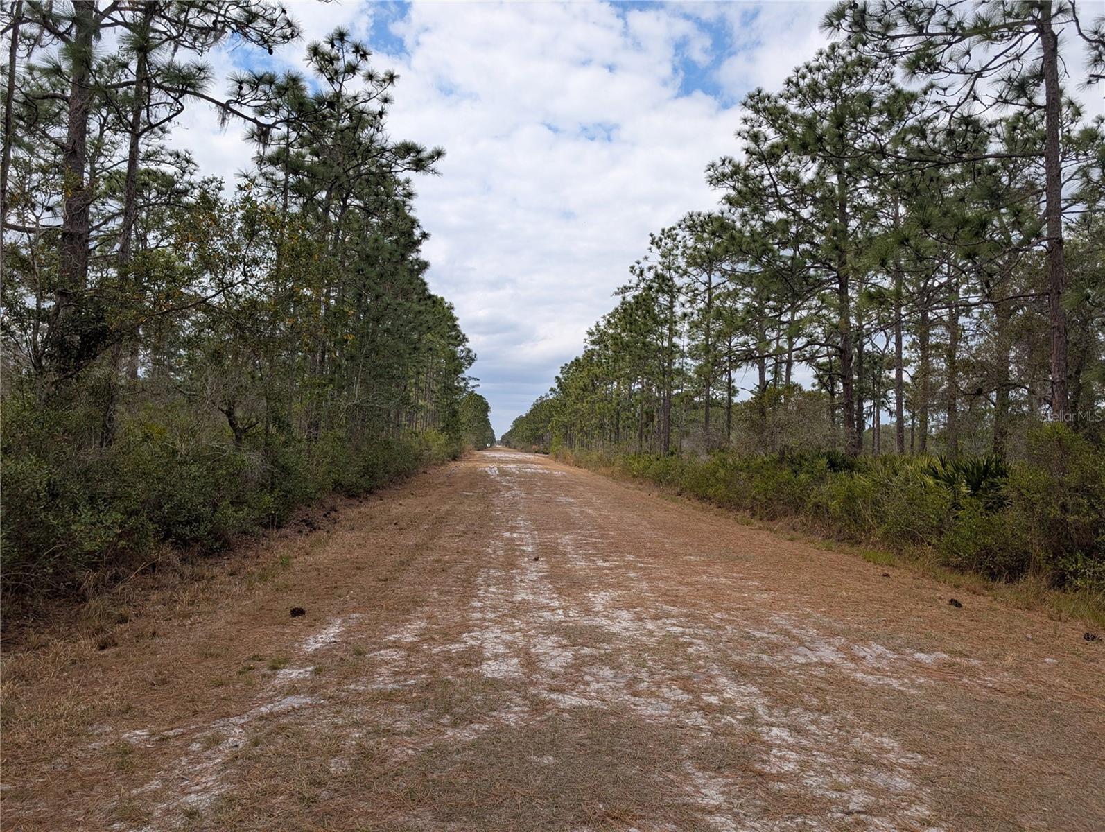 INDIAN LAKE ESTATES - Land