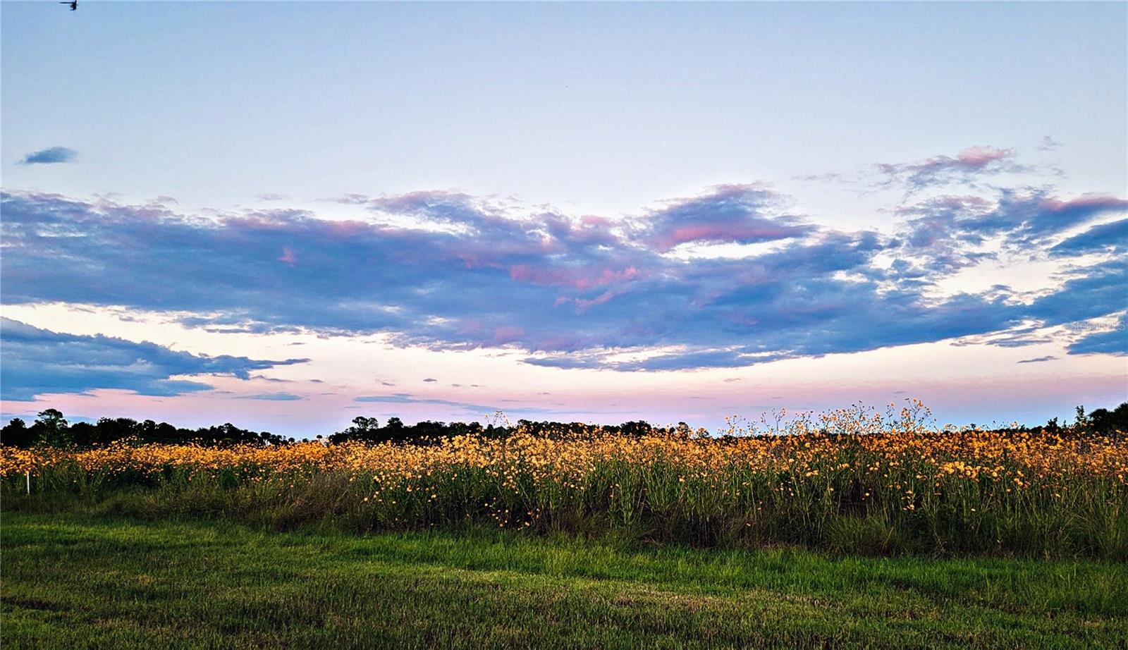 MULLET LAKE RETREAT 5 ACRE DEV - Residential