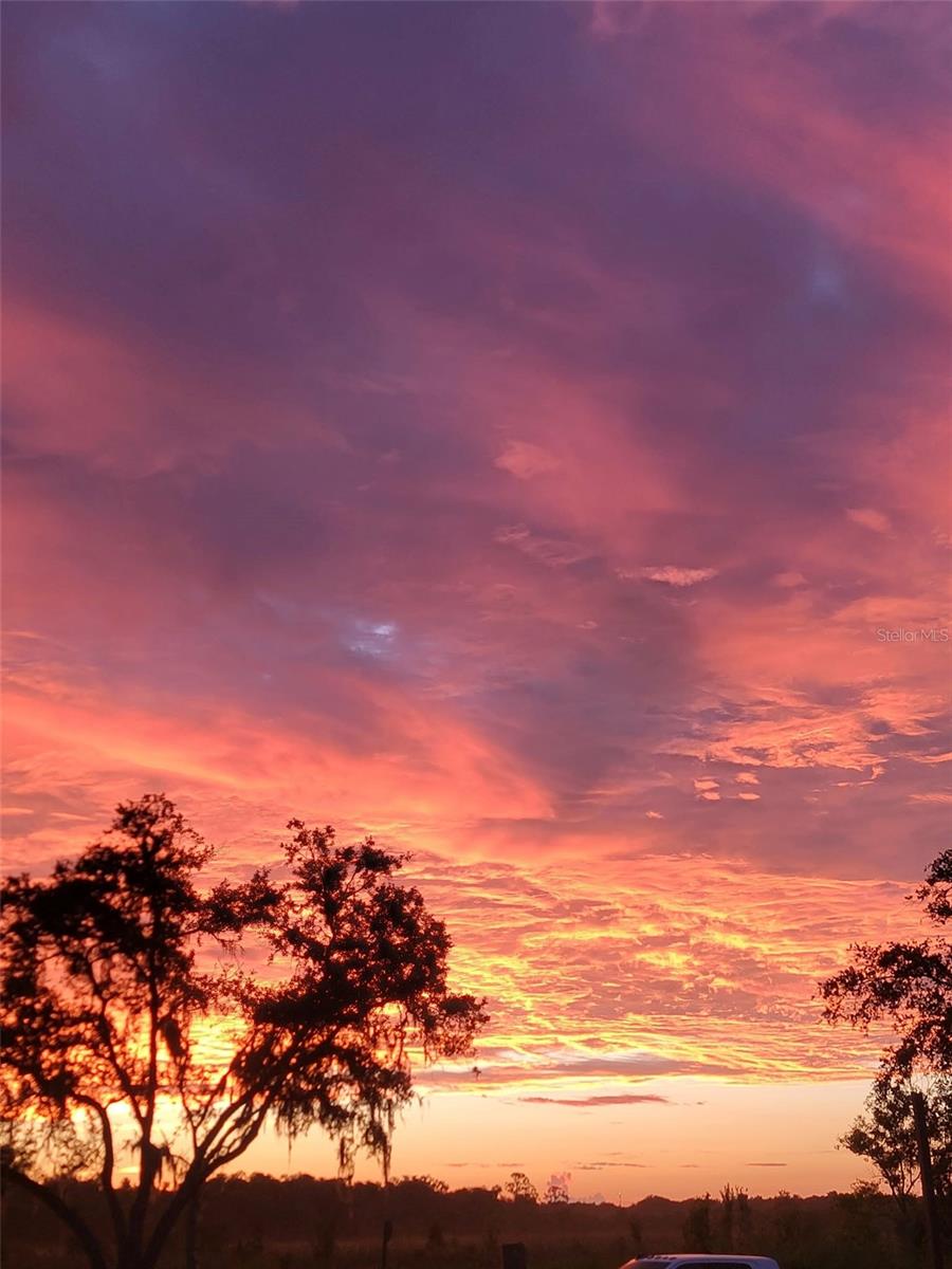 MULLET LAKE RETREAT 5 ACRE DEV - Residential