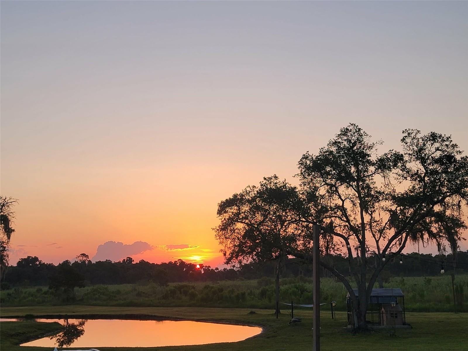 MULLET LAKE RETREAT 5 ACRE DEV - Residential