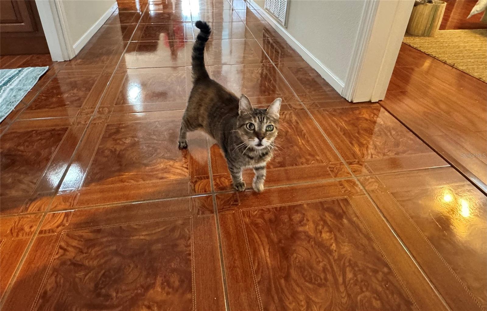 SKYWAY VILLAGE ESTATES CO-OP - Residential