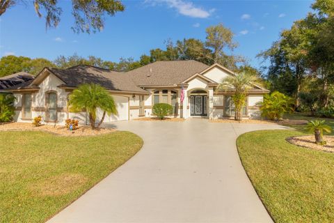 A home in ORMOND BEACH