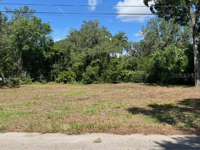 This 0.25-acre (100’ x 100’) vacant lot zoned R-1a offers a fantastic opportunity for you to build your home in the quaint community of Copeland. Get the feeling of living in the country while living only minutes to a plethora of amenities. Gainesville is a wonderful place to live and local dining, shopping, entertainment, and outdoor recreation includes a community park and Gum Root Park for the nature enthusiast are just walking distance. For those connected to the University of Florida and Shands and VA hospitals, this location is a dream—just 10 minutes from campus, making it ideal for students, faculty, or Gator fans. With its central location and development potential, this property is a rare find. Drive by today and explore the possibilities.