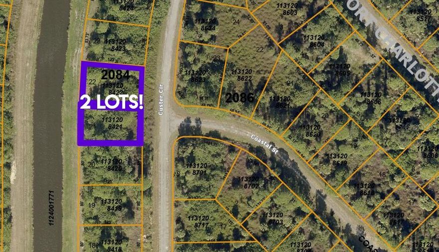 2 future building lots side by side in an upcoming area of North Port!  Electric not to far away.  Perfect lots to hold for future investment!  Lots moving quickly.  This area is close to the Charlotte Town Mall, shopping, restaurants & schools.  Only 20 minute drive to the gulf Beaches and 15 minutes to downtown Punta Gorda shops and restaurants! Call us today!