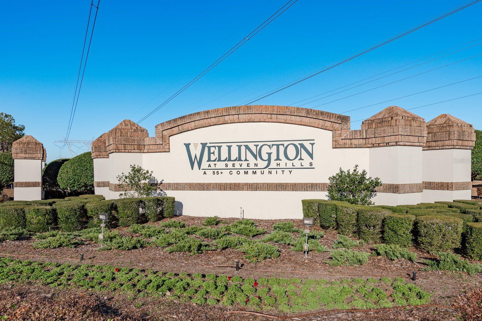 WELLINGTON AT SEVEN HILLS PH 7 - Residential