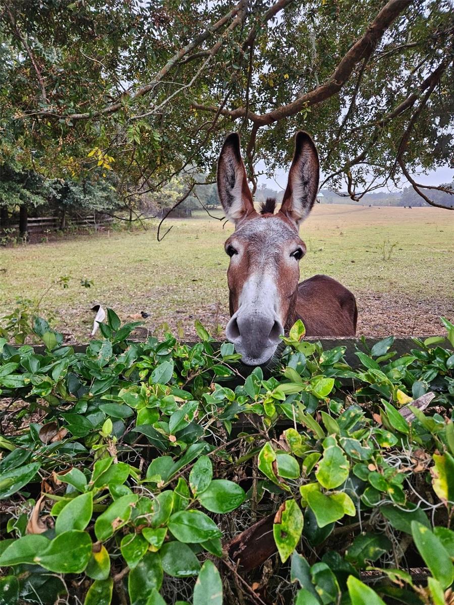 VILLAGES/MARION UN #61 - Residential