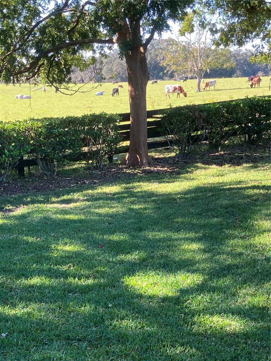 VILLAGES/MARION UN #61 - Residential